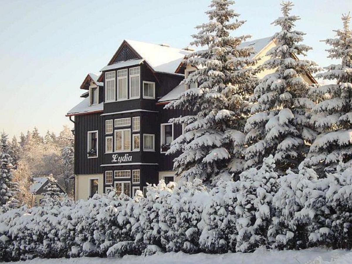 Villa Lydia Altenberg Bagian luar foto