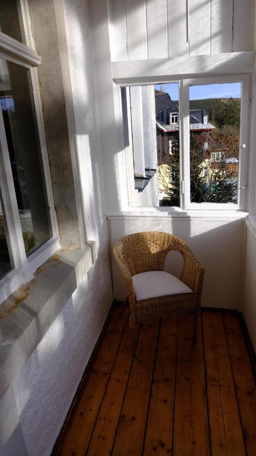 Villa Lydia Altenberg Bagian luar foto