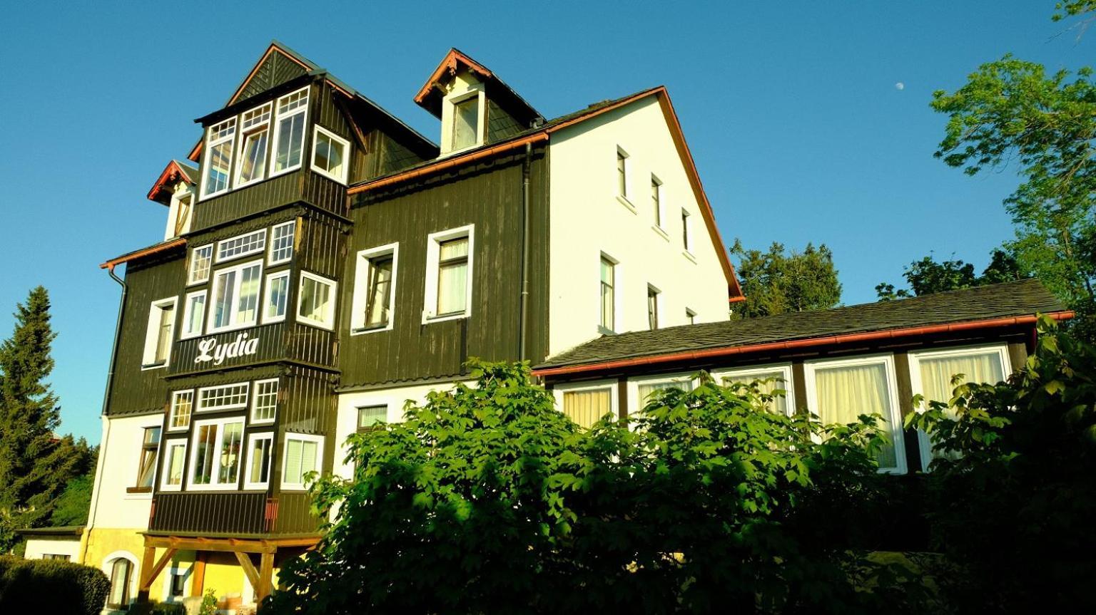 Villa Lydia Altenberg Bagian luar foto